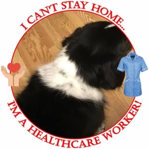 Meet your Posher, Laurie